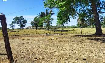 Imagem 2: FAZENDA À VENDA EM DOIS IRMÃOS - TO - 1.069,64 HECTARES (DUPLA APTIDÃO