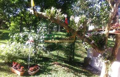 Imagem 6: SANTO AMARO DA IMPERATRIZ - Sítio - Braço São João