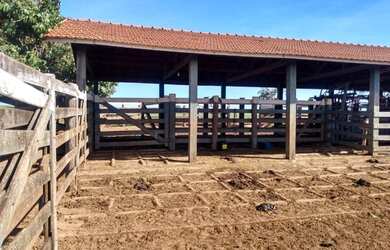 Imagem 4: Venda Fazenda / sítio com venda por R$45.000.000