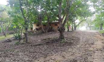 Imagem 5: Fazenda/Sítio/Chácara para venda tem 3436400 metros quadrados com 4 quartos