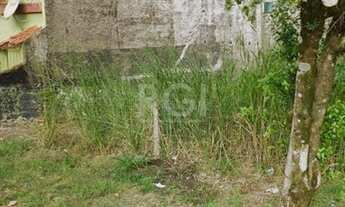 Imagem 4: Porto Alegre - Terreno Padrão - Nonoai