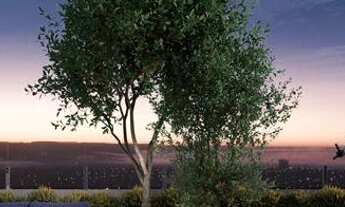 Imagem 4: Apartamento para venda possui 42 metros quadrados com 1 quarto em Jundiaí - Anápolis - GO