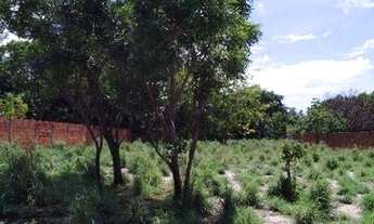 Imagem 5: Terreno para venda com 7.238,50m² em Mangabeira Eusébio- R$ 1.275000,00