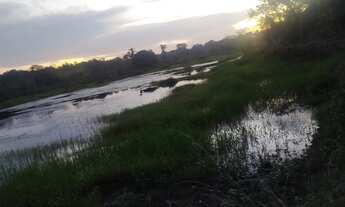 Imagem 3: Oportunidade de venda. Sítio Palmeropolis TO