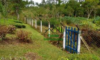 Imagem 2: Chácara com 3 dormitórios, 5000 m² - venda por R$ 550.000 ou aluguel por R$ 3.500/mês - Em