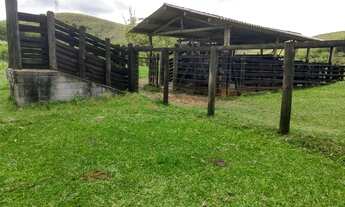 Imagem 3: Fazenda com 115 alqueires em são josé dos campos - plana e ondulada
