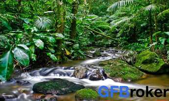 Imagem 7: Fazenda Com uma Ilha Pé na Areia à Venda