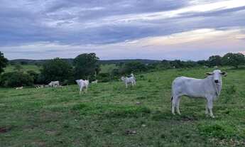 Imagem: Fazenda 39 alqueires Município de Varjão