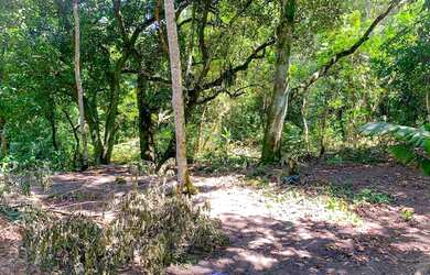 Imagem 4: Terreno para venda em Santa Dalila (Suruí) - Magé - RJ