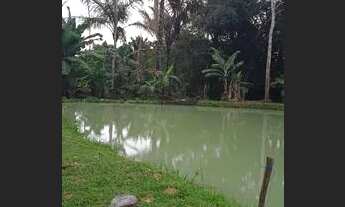 Imagem 5: Sítio Chácara com venda por R$300.000