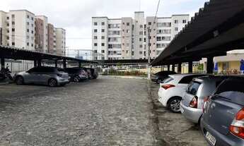 Imagem 7: Doce Vida Primavera / Rosa Elze