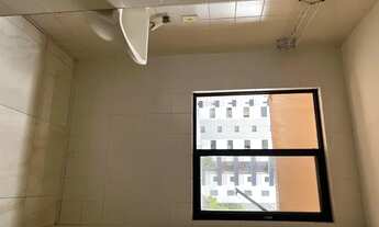 Imagem 6: 1/4 caminho das árvores