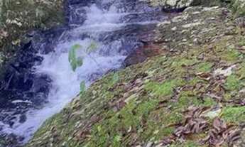 Imagem 4: Chácara com rio nos fundos