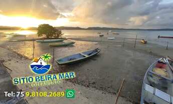 Imagem 2: Terreno lotes urbanizados, pra morar ou lazer, sítio beira mar - na praia, chácara