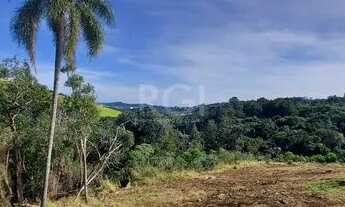 Imagem 4: Terreno para Venda - 0m², 0 dormitórios, Vila Nova