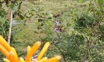 Imagem: Sítio são Bonifácio