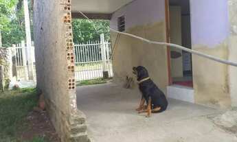 Imagem 3: Alugo casa sozinha no pátio Gravataí