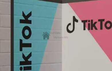 Imagem 2: OPORTUNIDADE Apartamento com 2 dormitórios