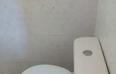 Imagem 7: Alugo Casa com 2 dormitórios