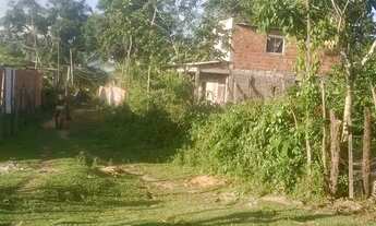 Imagem 2: Casa em ilha de maré (Botelho