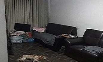 Imagem 5: PECHINCHA APTO 1o ANDAR 2 QTS REFORMADO LAZER DOC OK