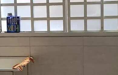 Imagem 3: Luciene Carvalho