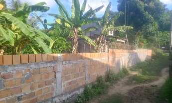 Imagem 6: Casa em ilha de maré (Botelho