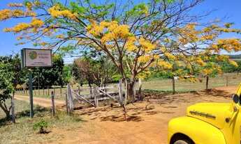 Imagem 3: Belíssima Chácara AMBEV aceita 100% de permuta