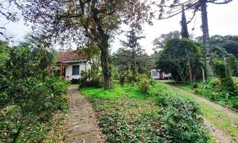 Imagem 5: Terreno em Jardim Isabel