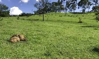 Imagem 3: Fazenda Abadiania Goiás