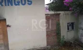 Imagem 2: Terreno para Venda - 0m², 0 dormitórios, Ipanema