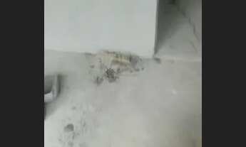 Imagem 3: OPORTUNIDADE!!! Casa com 2 dormitórios