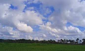 Imagem 2: Fazenda 908 hectares