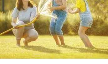 Imagem 4: FLORIANóPOLIS - Padrão - Capoeiras