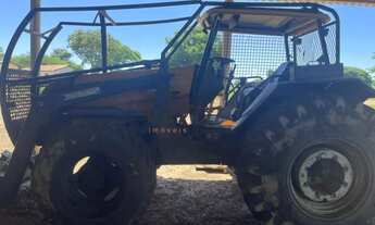 Imagem 6: Fazenda - Centro - Montes Claros