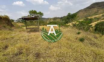 Imagem 7: Fazenda de 17 alq em Goias-GO