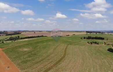 Imagem 3: Fazenda em Tatuí-SP 306,67 Hectares ou 126,7 Alqueires, Arrendada com Cana