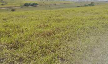 Imagem 3: Venda-se está Propriedade 30 alqueires Localização Campos dos Goytacazes/RJ