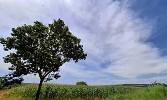 Imagem 2: Chácara 38 hectáres na região de Gameleira e Mucambinho, MUITA ÁGUA