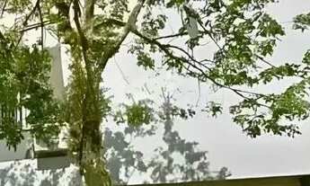 Imagem 2: Apartamento 2 dormitórios, 75m², vista livre e vaga coberta