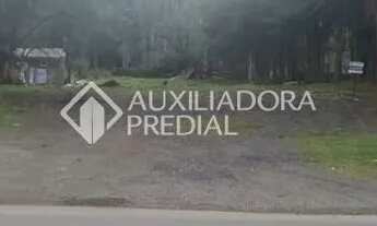 Imagem 5: Terreno à Venda no Caminho do Parque do Caracol - Canela