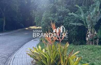 Imagem 5: EXCLUSIVIDADE SONIA BRANDALISE!