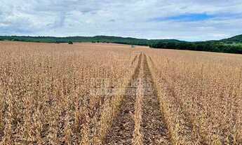 Imagem 5: Fazenda/Sítio/Chácara para venda com 5614400 metros quadrados