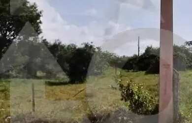 Imagem 7: Terreno no Bairro Mosqueiro com 352m² e Escritura Pronta