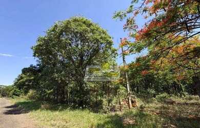 Imagem 4: Chácara com 1 dormitório à venda, 2231 m² por R$ 210.000,00 - Maracanã - Uberaba/MG