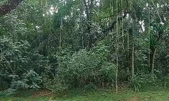 Imagem 7: Terreno à venda, 1040 m² por R$ 450.000,00 - Granja Viana - Jandira/SP