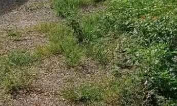 Imagem 2: Casa com barraco