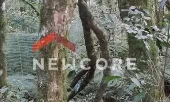 Imagem 6: Lote em Rua São Gotardo - São Bernardo - São Francisco de Paula/RS