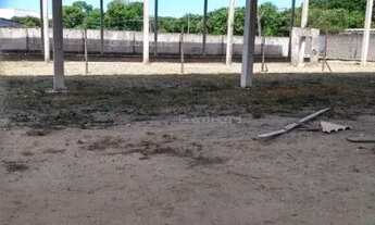 Imagem 7: Terreno em Novo México