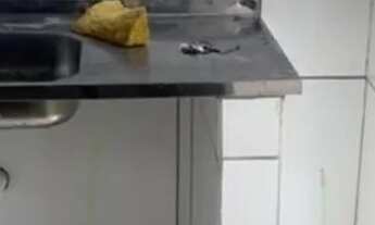 Imagem 3: CASA PRA VENDER Casa com 1 dormitório